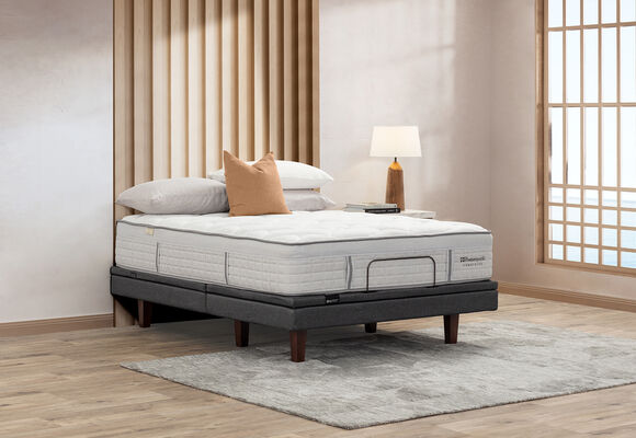 EXQUISITE SILVER FLEX - Queen Mattress