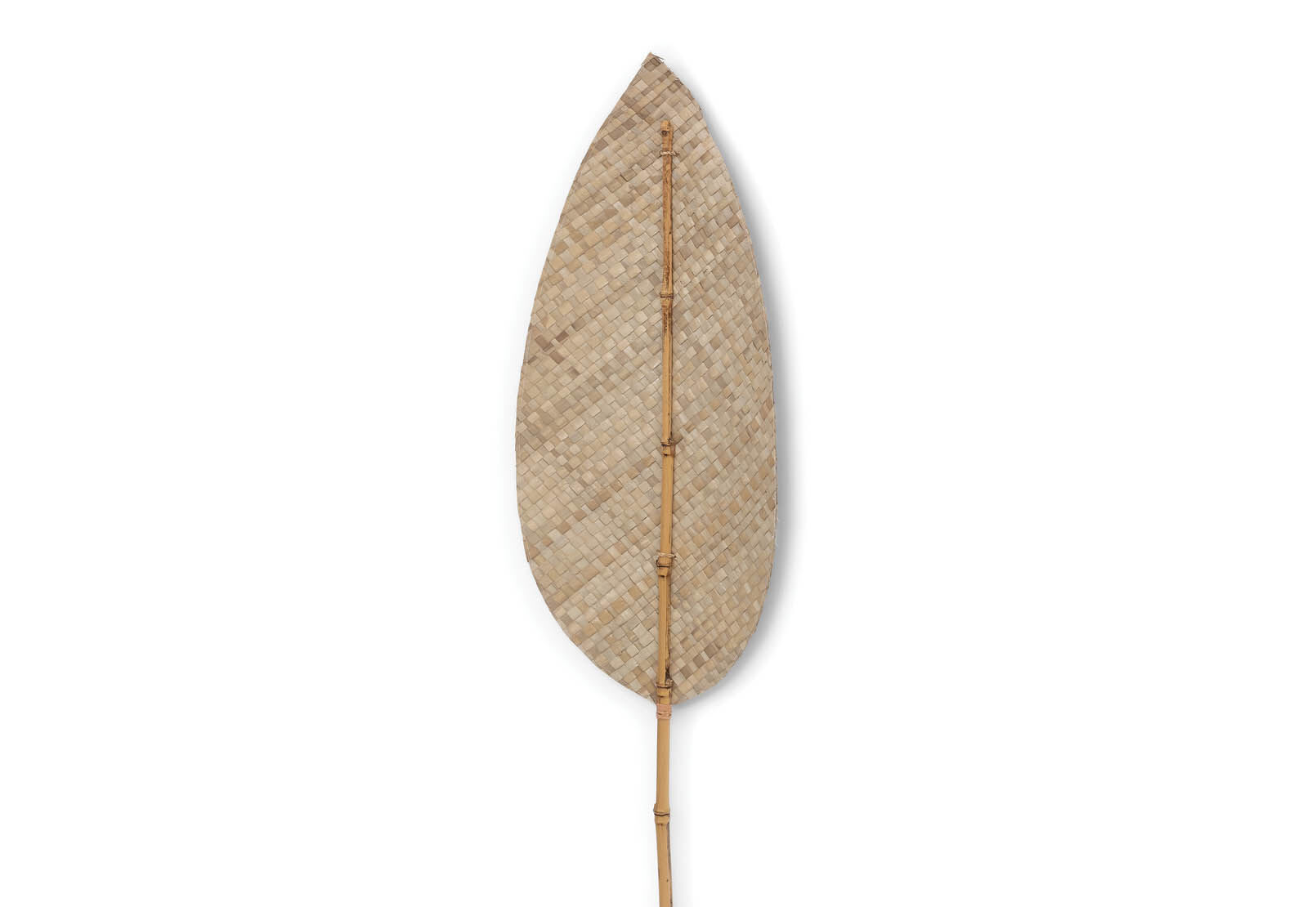 ANWAR - 180cm Natural Deco Leaf ANWAR