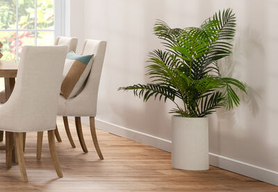 PALM TREE - 120CM Tree