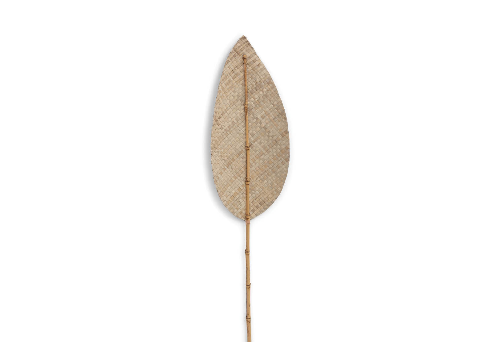 ANWAR - 180cm Natural Deco Leaf ANWAR