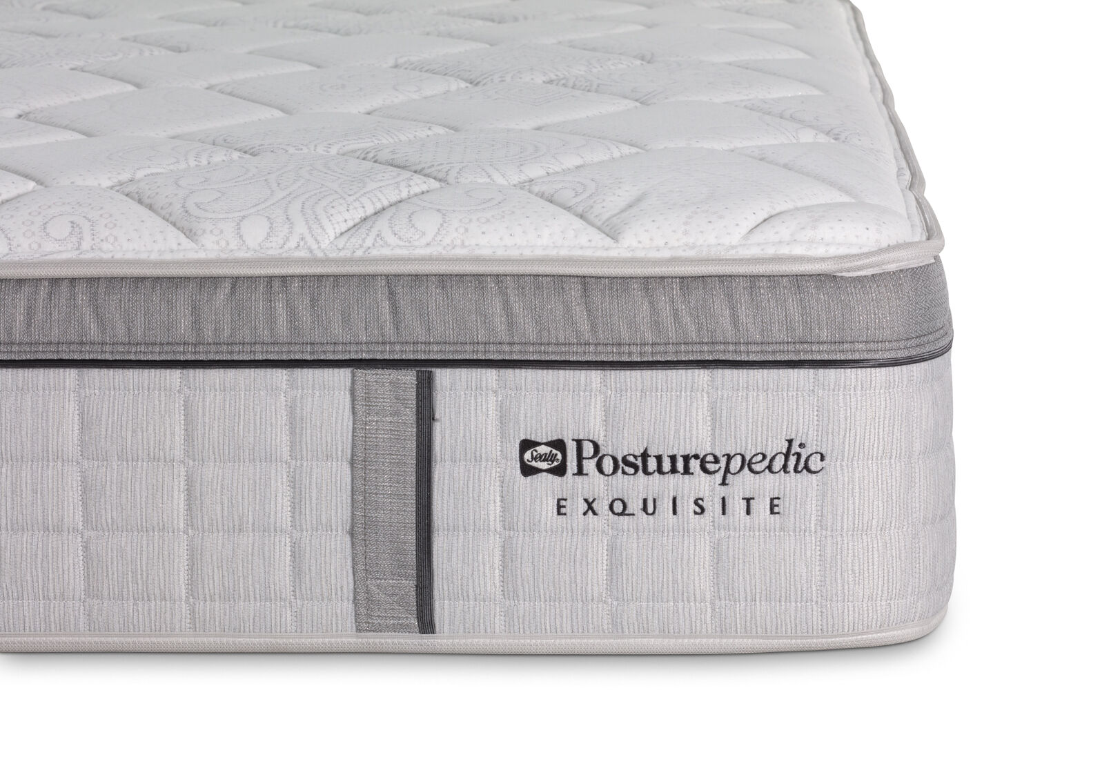 EXQUISITE SILVER FLEX MEDIUM