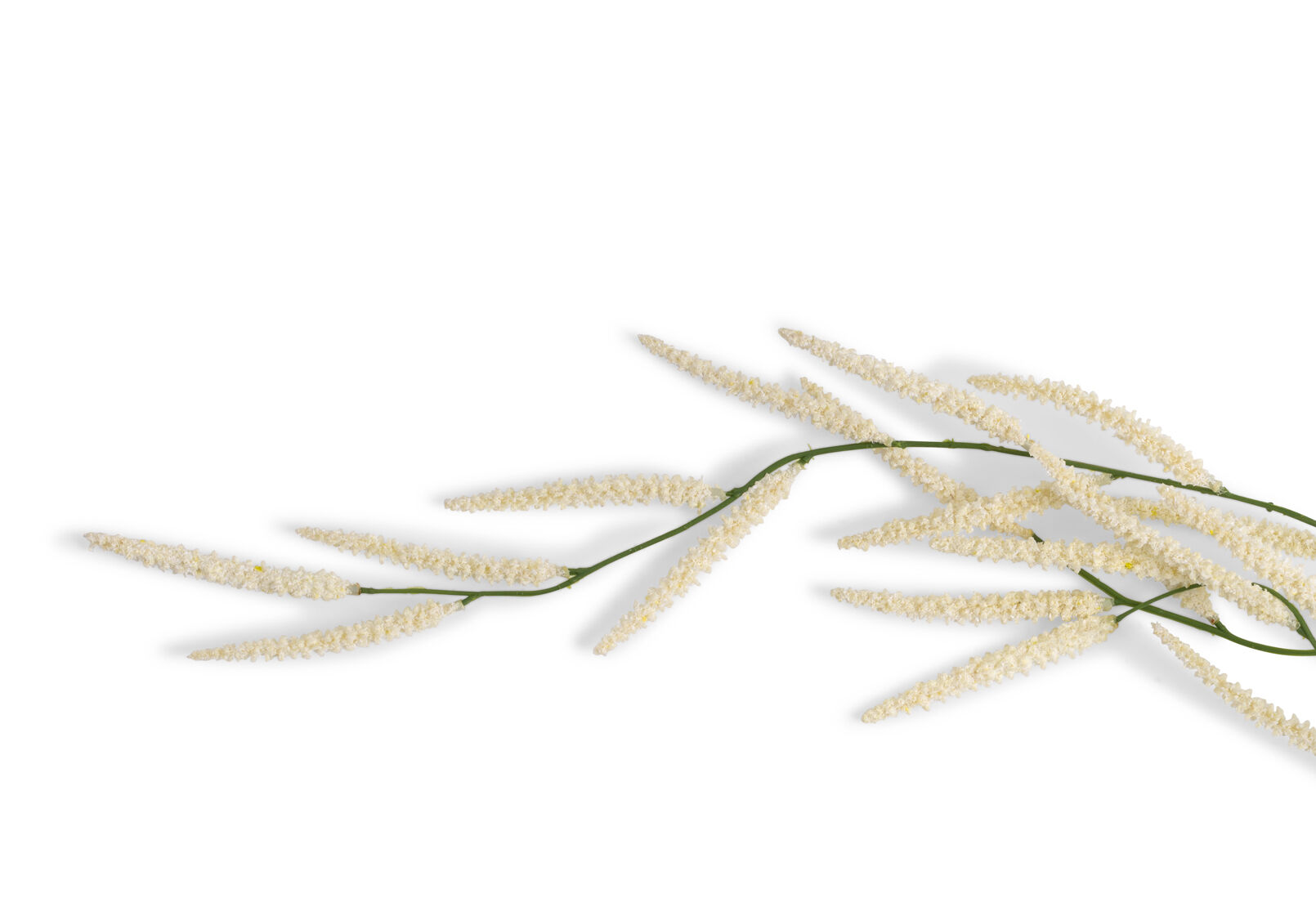 ARTIFICIAL MOUDRY - Stem ARTIFICIAL MOUDRY