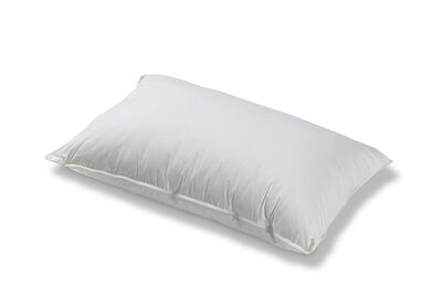 PERAGO HOME MICROLUSH - Microlush Pillow 900 gsm 5 P/C