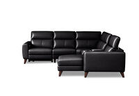 SPECTRA LEATHER