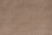 AGASSI FABRIC