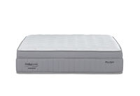 ORTHOKINETIC CONTESSA PLUSH