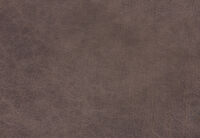 FOXTON FABRIC