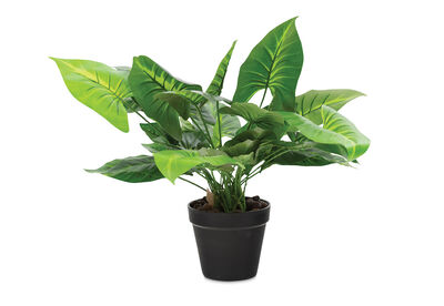 CALLA - Artificial Plant