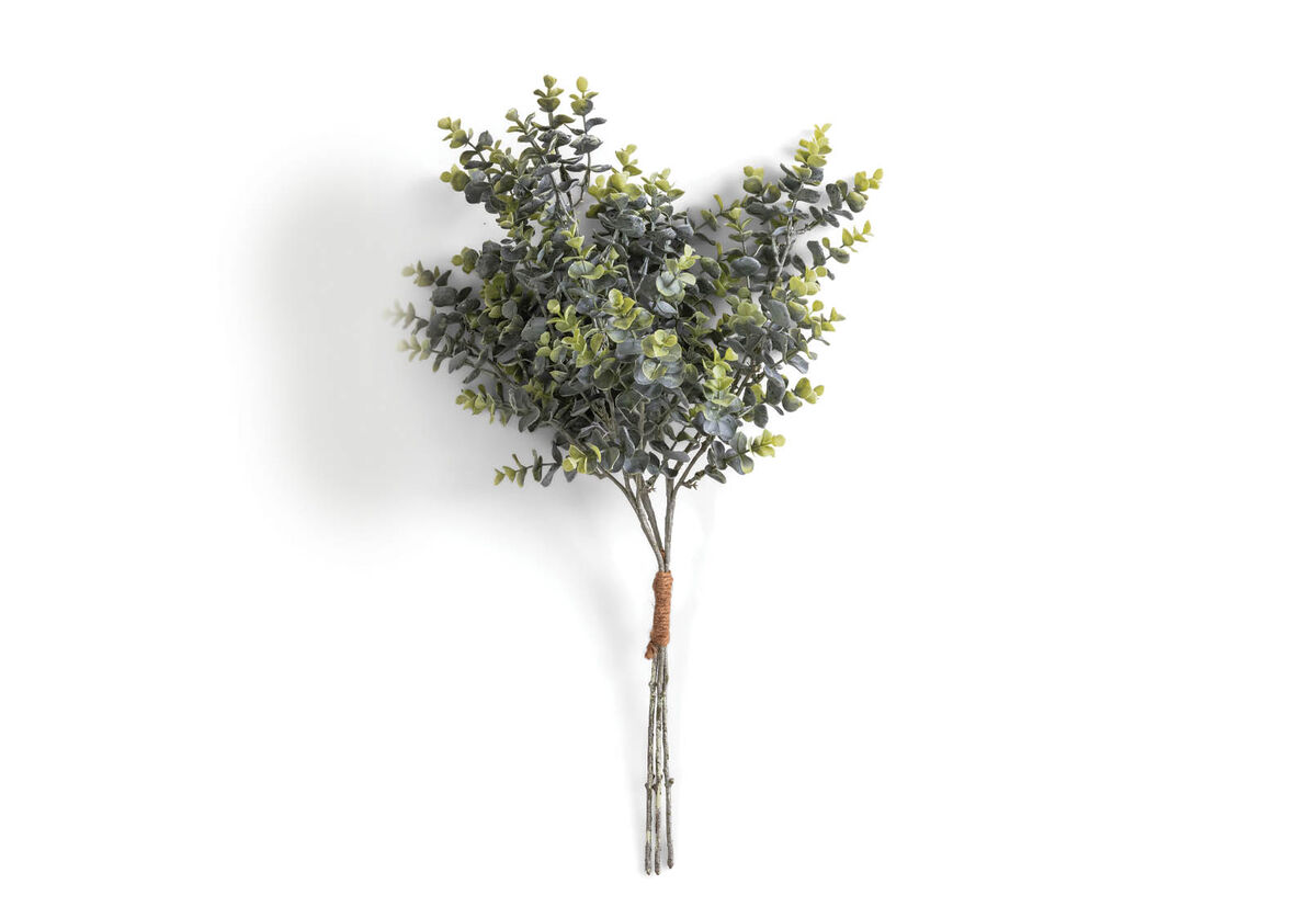 MYRTLE MK2
