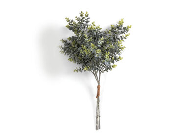 MYRTLE MK2 - Eucalyptus Bunch 64CM
