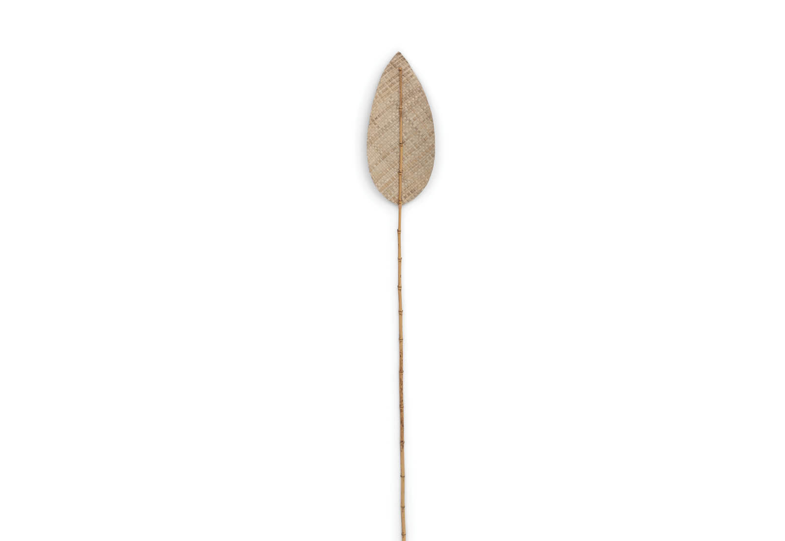 ANWAR - 180cm Natural Deco Leaf ANWAR