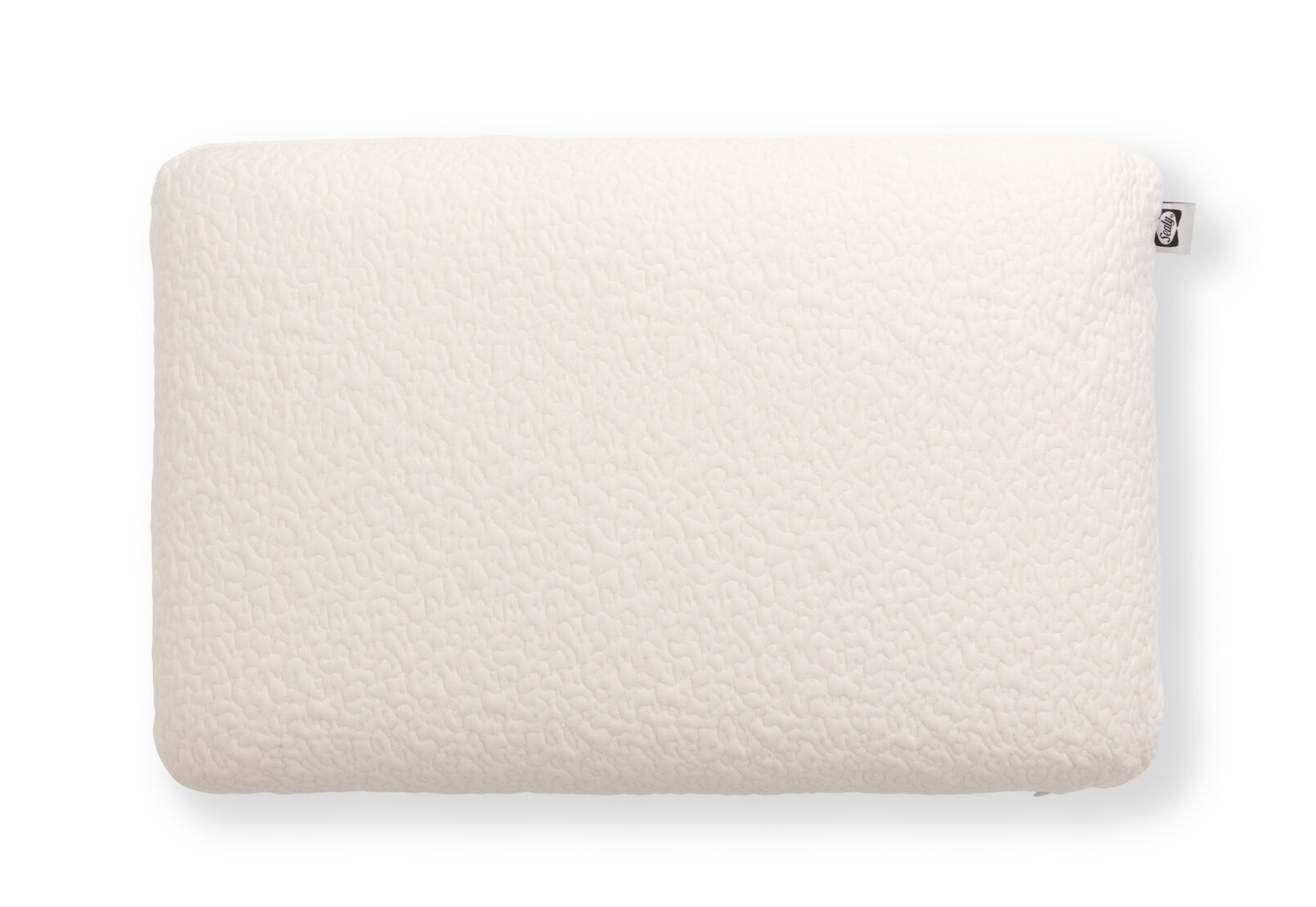 SEALY MEMORY REST - Traditional Pillow SEALY MEMORY REST
