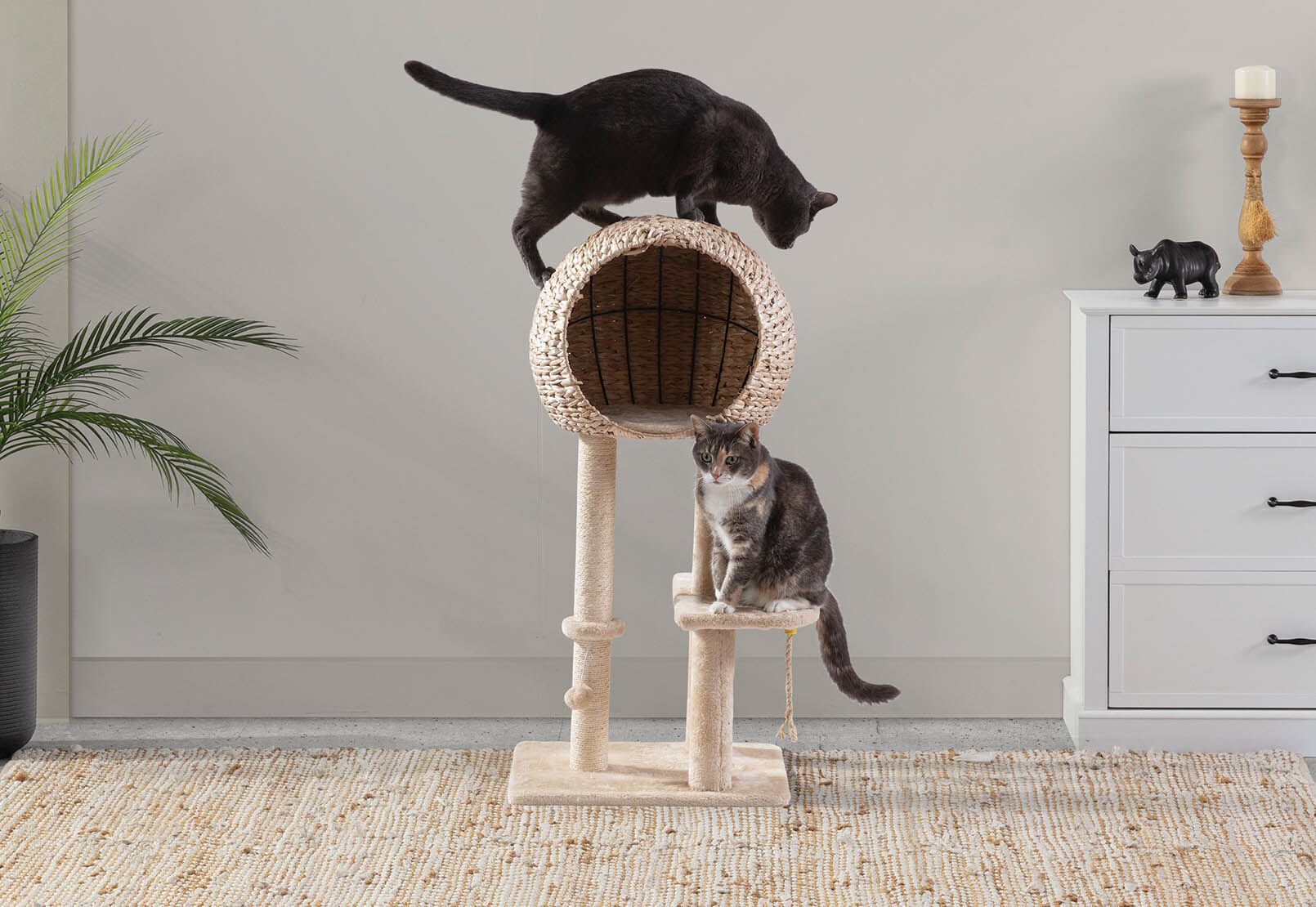 MACARTHY - Wicker Pet Scratch Pole MACARTHY