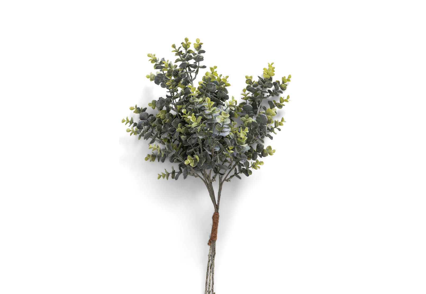 MYRTLE - 64cm Stem MYRTLE