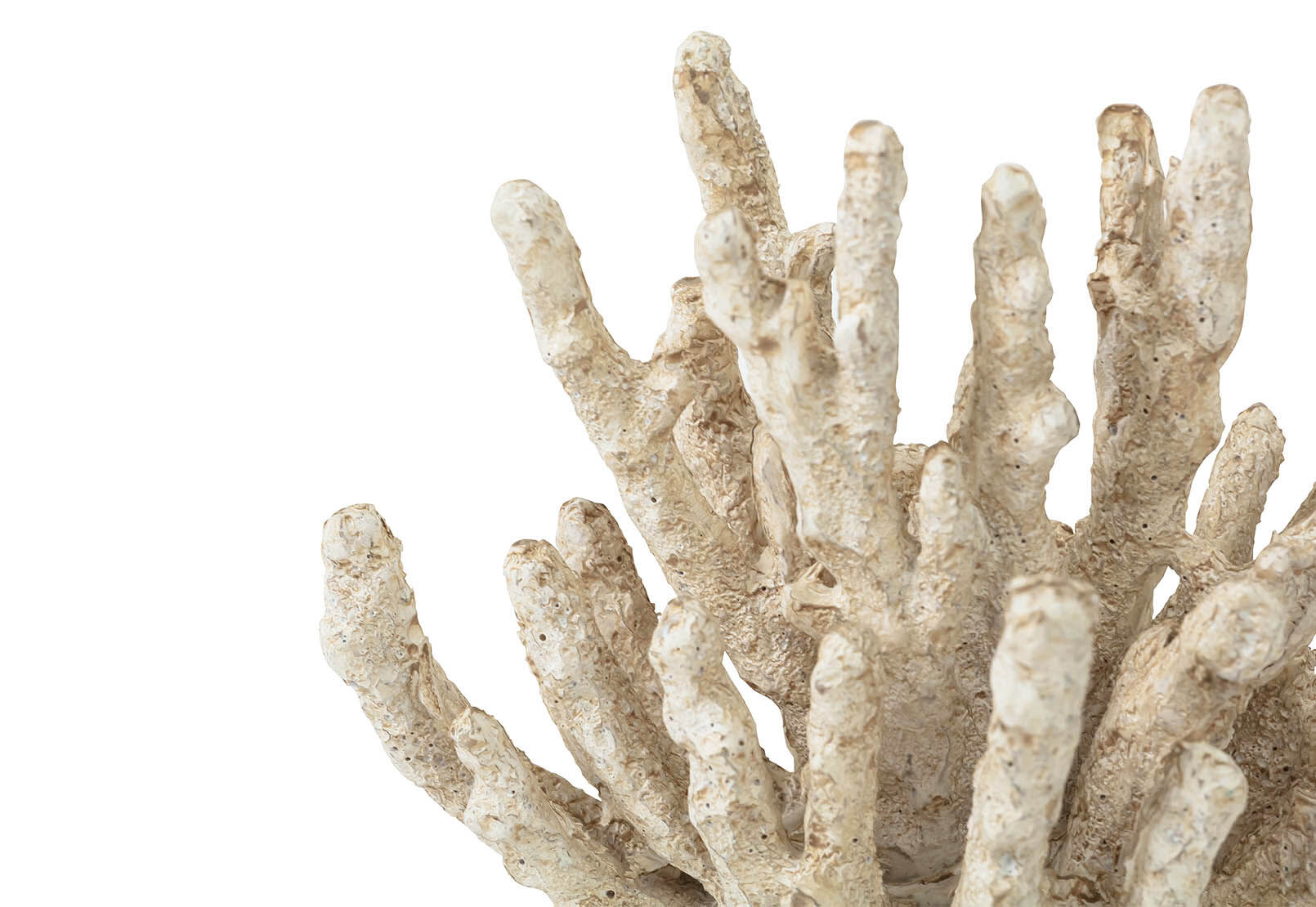 ERCOLE - 18CM Decorative Coral ERCOLE