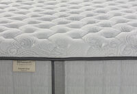 EXQUISITE SILVER FLEX CUSHION FIRM