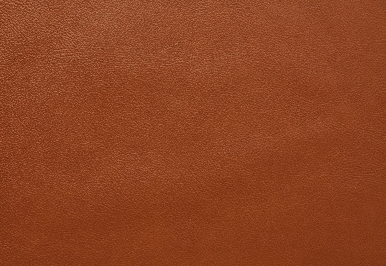 THANE LEATHER - Electric Recliner THANE LEATHER