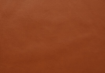 THANE LEATHER - Electric Recliner