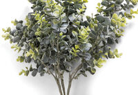 MYRTLE MK2
