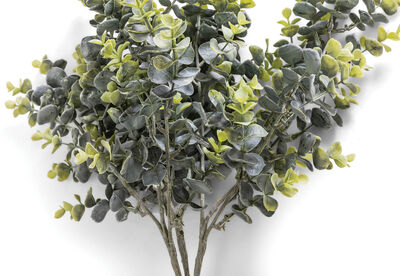 MYRTLE MK2 - Eucalyptus Bunch 64CM