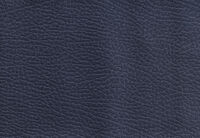 RODDICK FABRIC