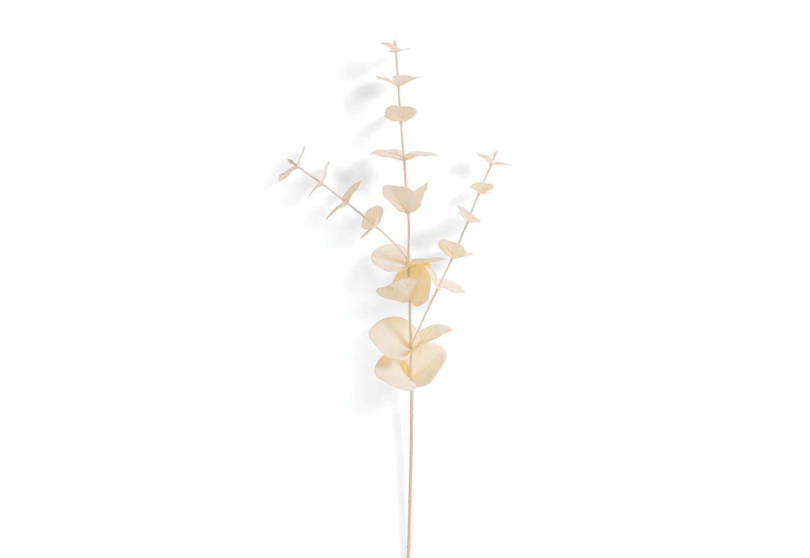 DAWE - 85cm Stem DAWE