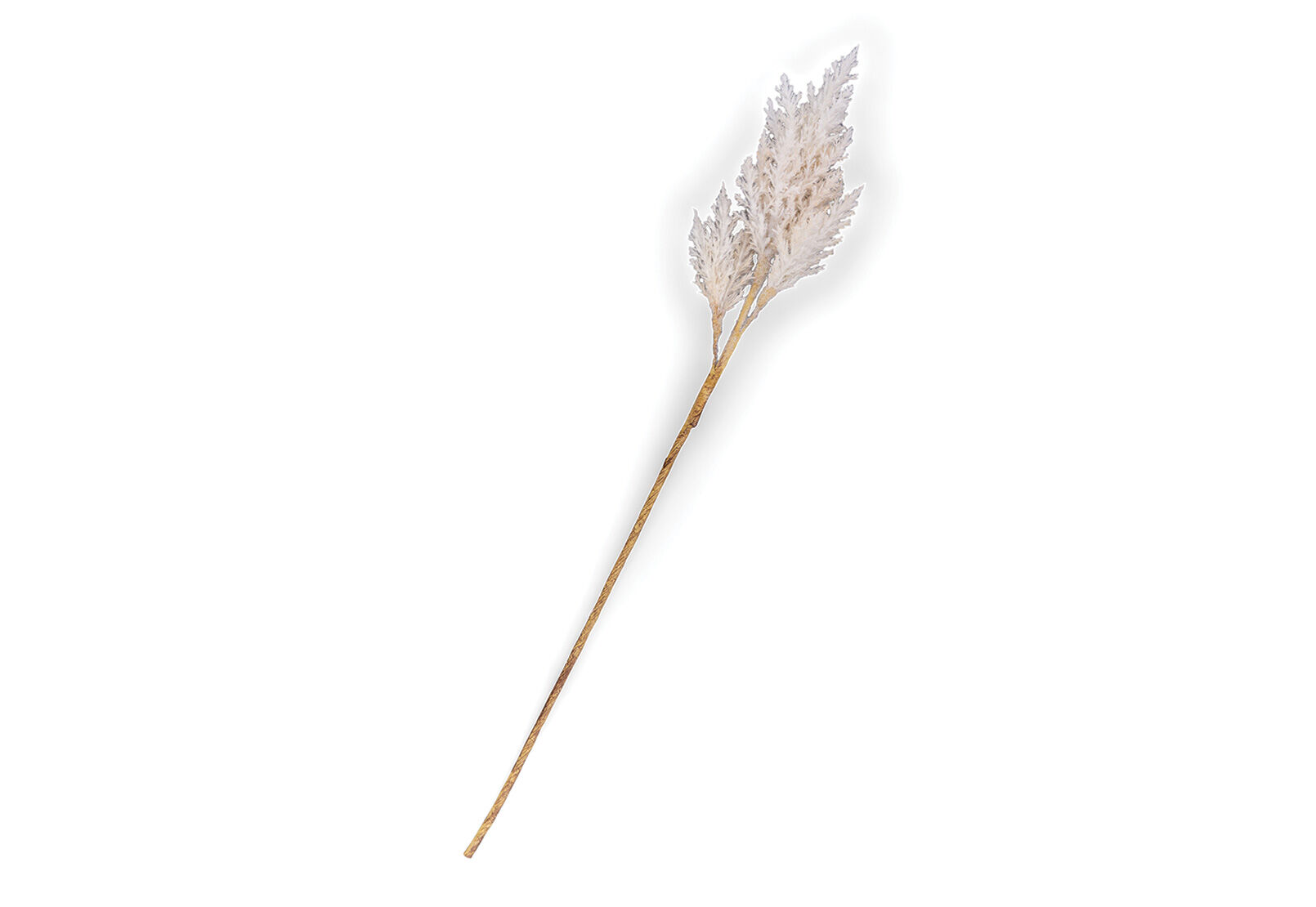 ASTILBE - 82cm Stem ASTILBE