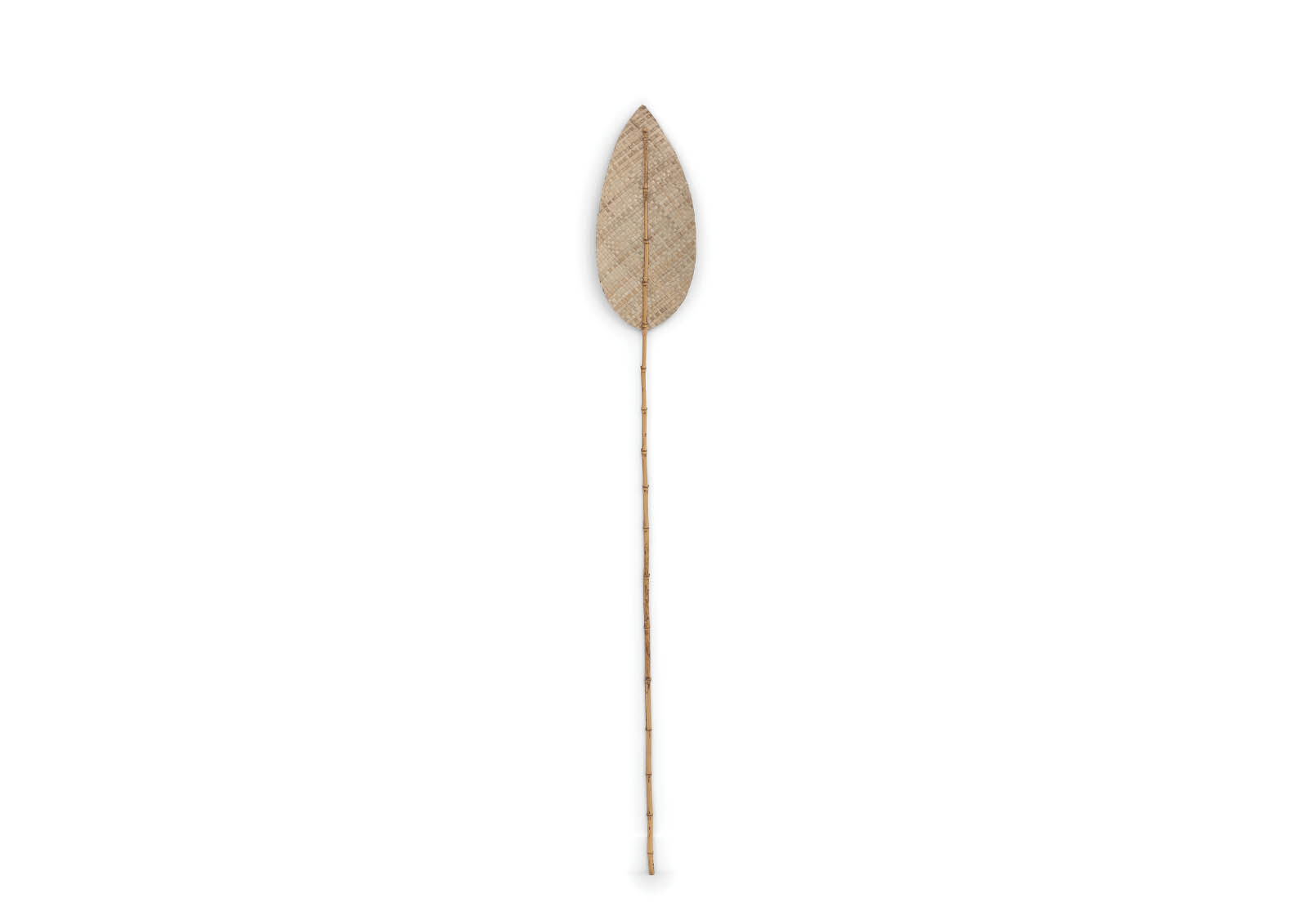 ANWAR - 180cm Natural Deco Leaf ANWAR