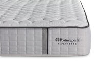 EXQUISITE SILVER FLEX CUSHION FIRM