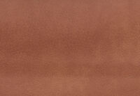 SERGIO FABRIC