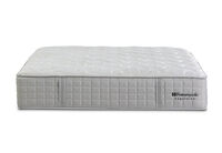 EXQUISITE GOLD FLEX CUSHION FIRM