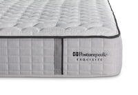 EXQUISITE SILVER FLEX CUSHION FIRM