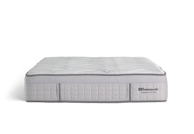 EXQUISITE SILVER FLEX PLUSH - Base