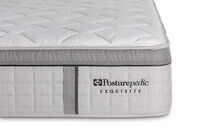 EXQUISITE SILVER FLEX MEDIUM