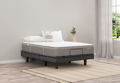 ACCLAIM RESTORE FLEX MEDIUM - Base
