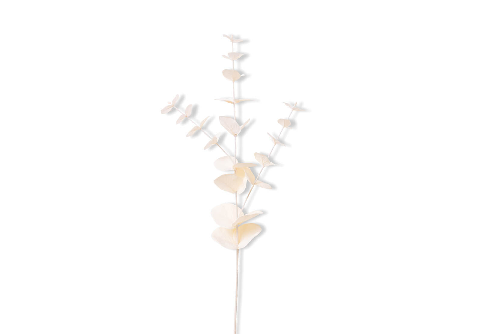 DAWE - 85cm Stem DAWE