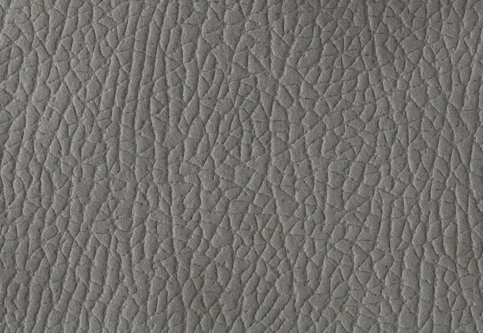 LANCE FABRIC