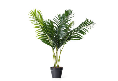 PALM TREE - 120CM Tree