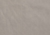 DETROIT FABRIC