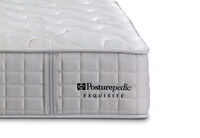 EXQUISITE GOLD FLEX CUSHION FIRM