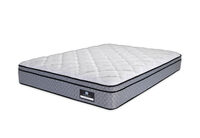 SEALY PERFECT BALANCE ELATION CUSHION FIRM