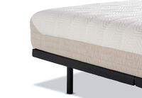 ORTHOKINETIC HYBRID FUSION FIRM