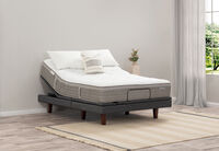 ACCLAIM RESTORE FLEX PLUSH