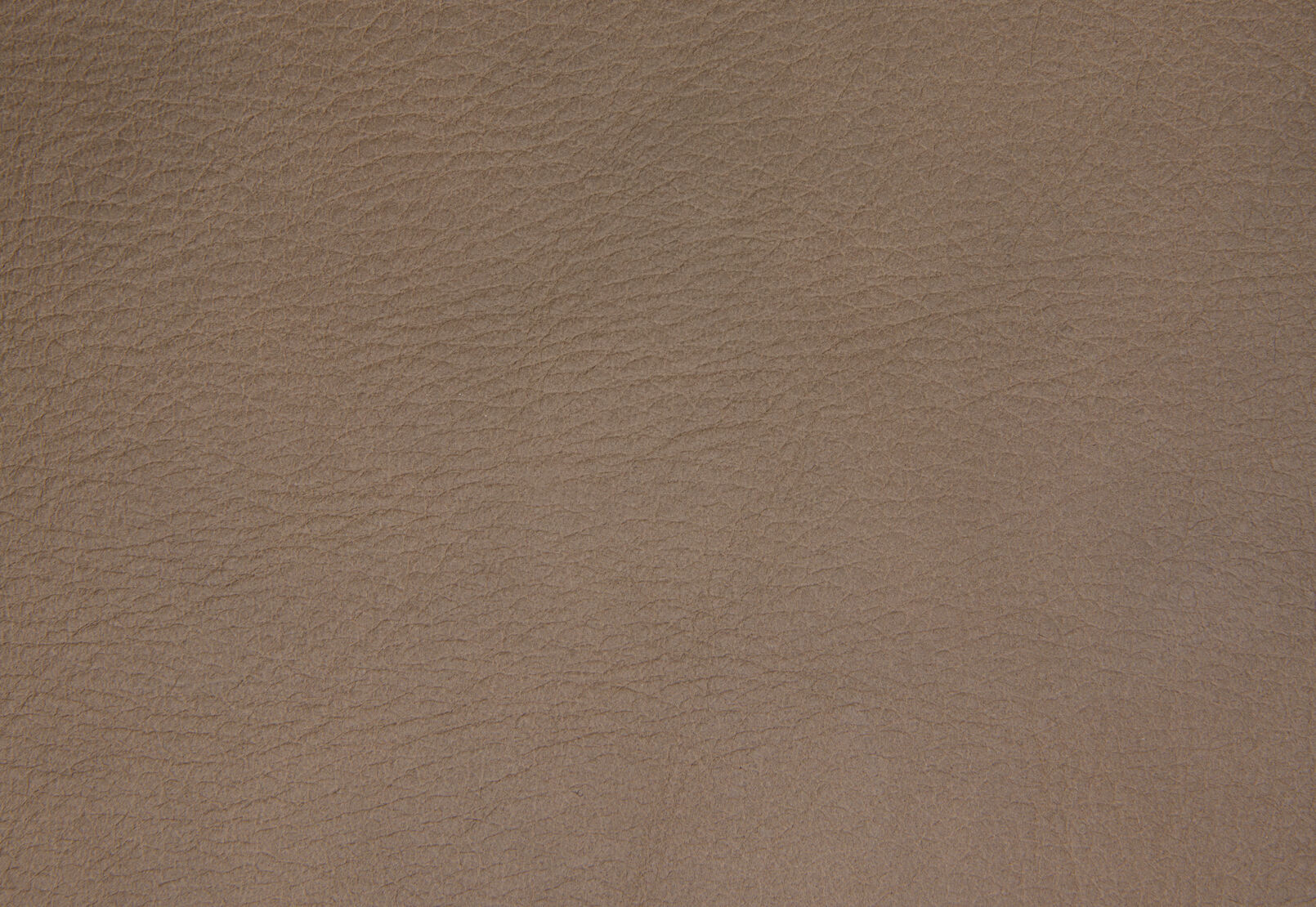 LUDOVIC LEATHER