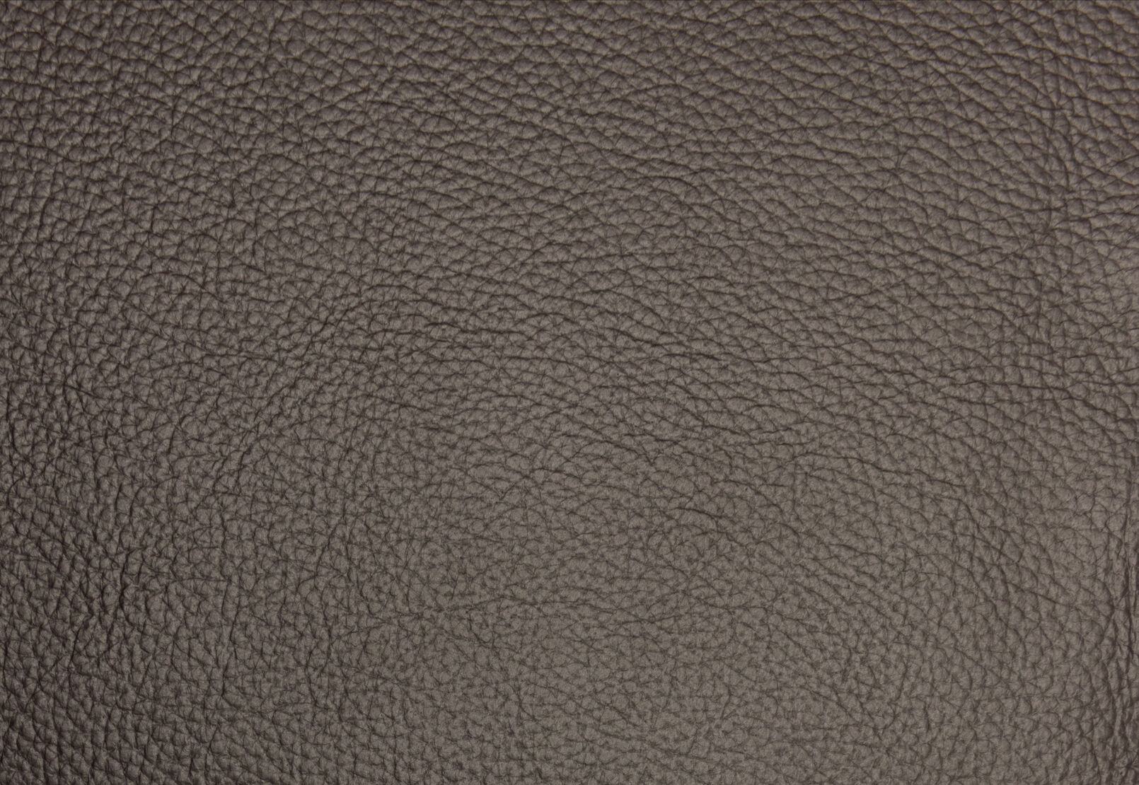 ALCINA LEATHER - Electric Recliner ALCINA LEATHER