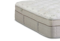 EXQUISITE GOLD ULTRA PLUSH