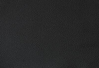 SINATRA LEATHER