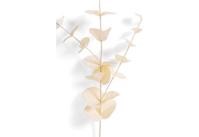 EUCY - 67cm Stem