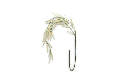 ARTIFICIAL MOUDRY - Stem