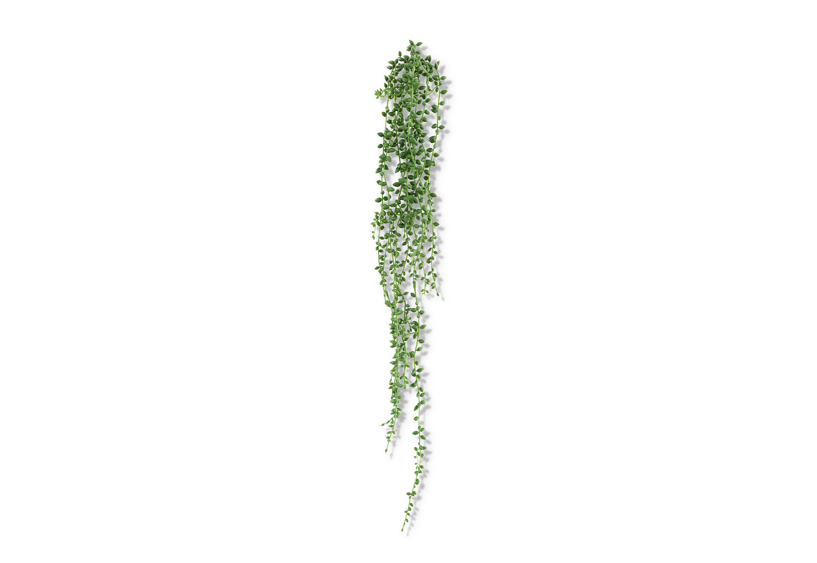 SUCCULENT BEAN LEAF - Faux Plant SUCCULENT BEAN LEAF